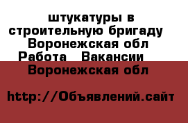  штукатуры в строительную бригаду - Воронежская обл. Работа » Вакансии   . Воронежская обл.